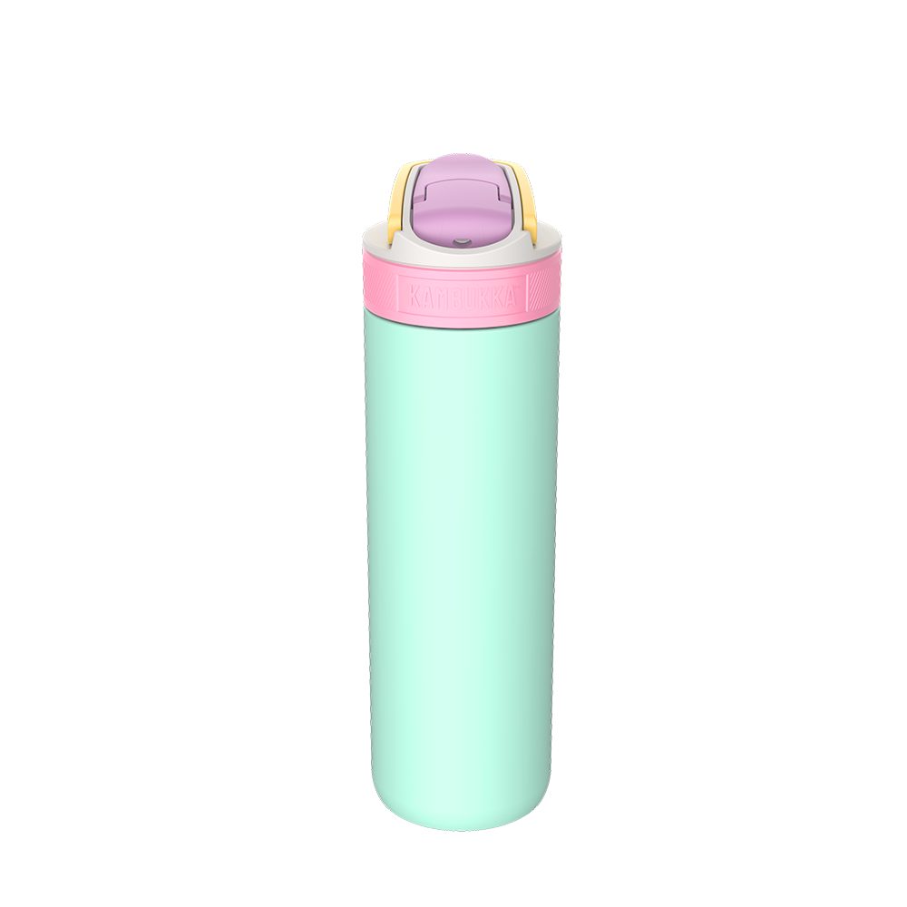 Lagoon Insulated 600 ml