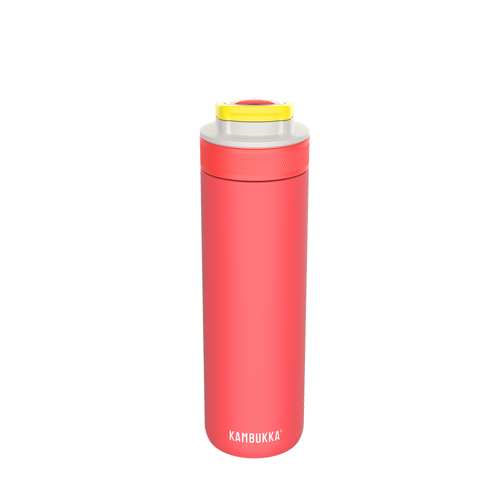 Lagoon Insulated 600 ml