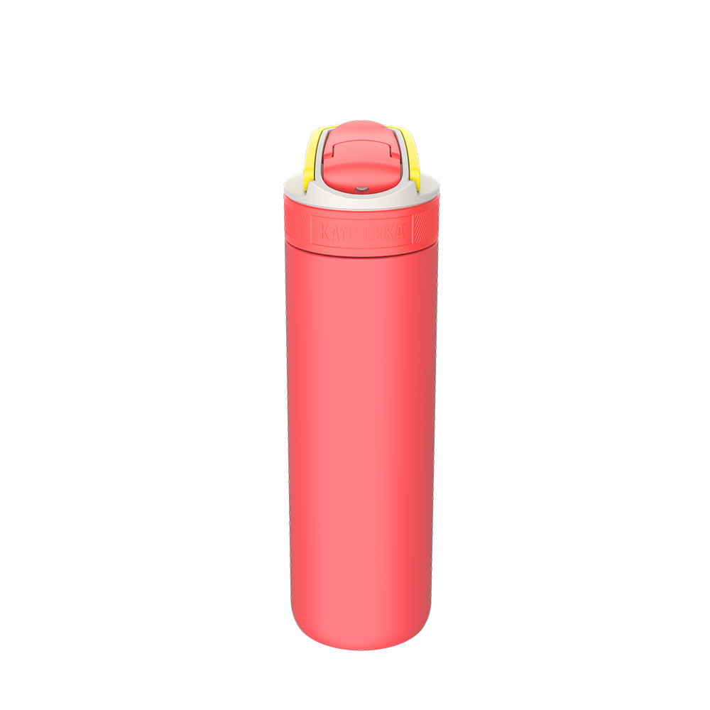 Lagoon Insulated 600 ml