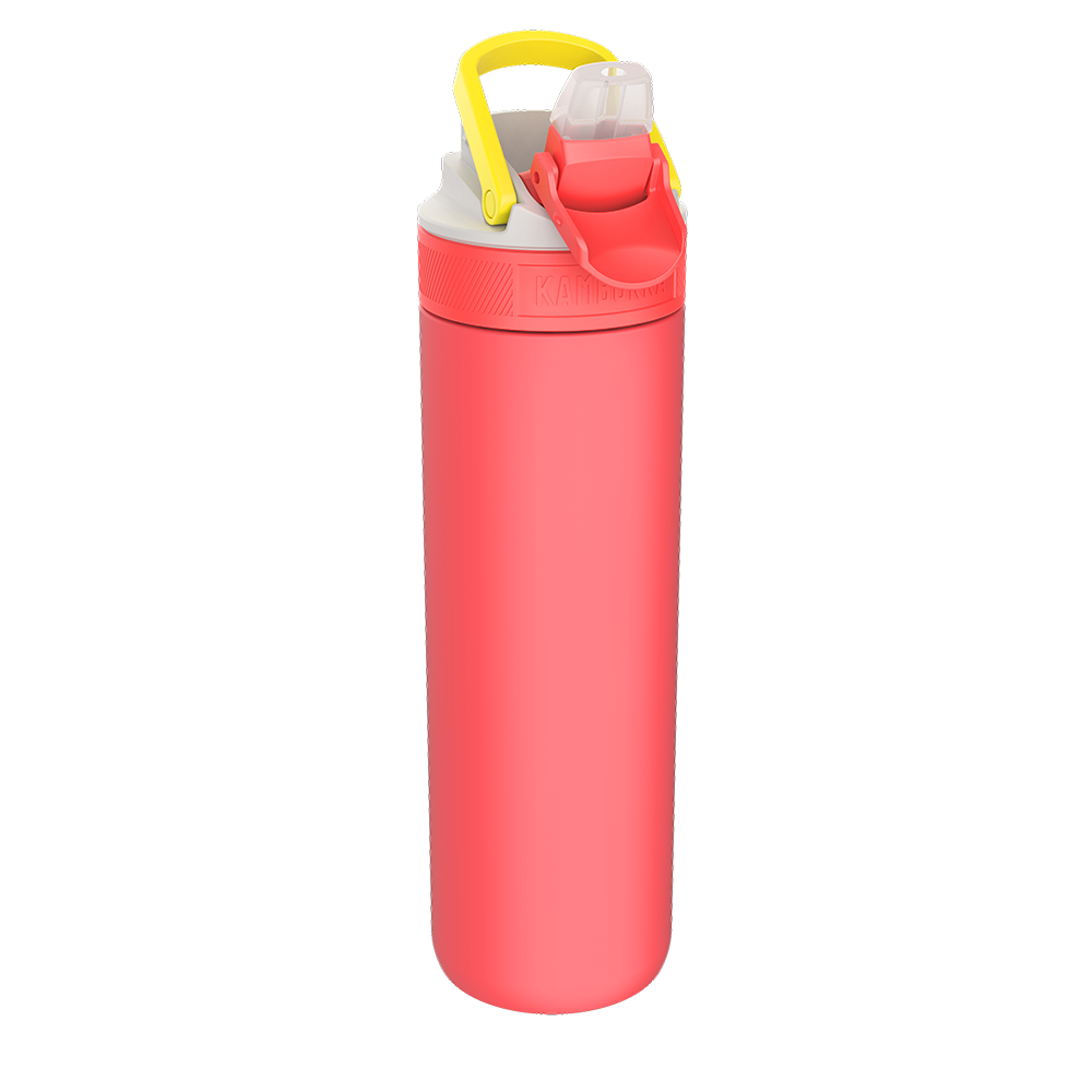Lagoon Insulated 600 ml