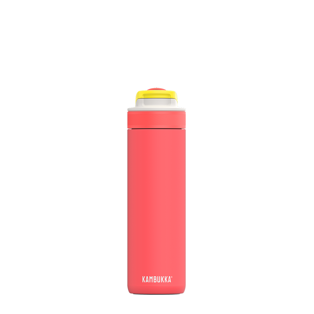 Lagoon Insulated 600 ml